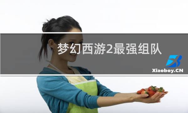 梦幻西游2最强组队