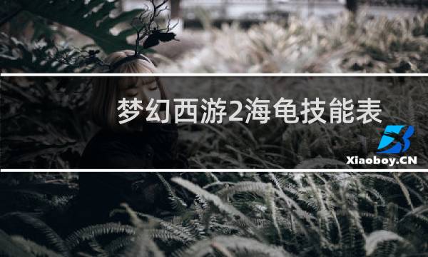 梦幻西游2海龟技能表