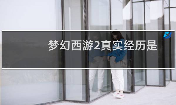 梦幻西游2真实经历是