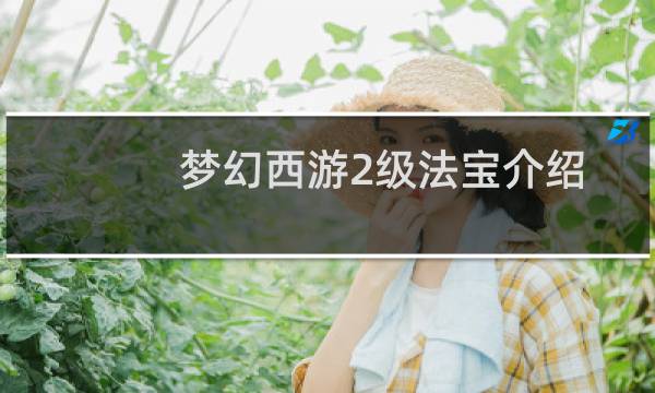梦幻西游2级法宝介绍