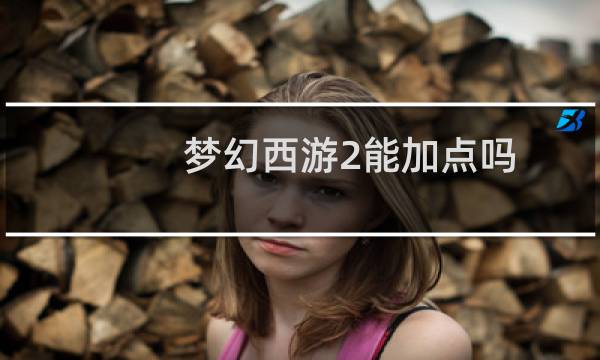梦幻西游2能加点吗