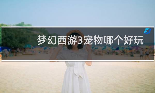 梦幻西游3宠物哪个好玩
