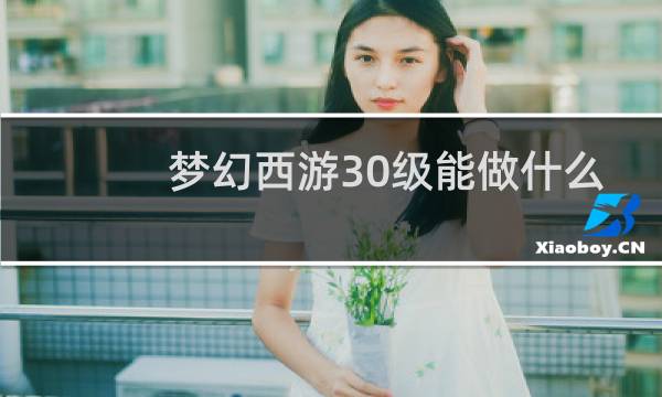 梦幻西游30级能做什么