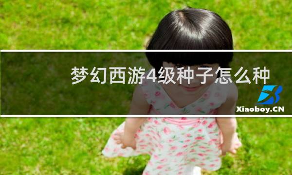 梦幻西游4级种子怎么种