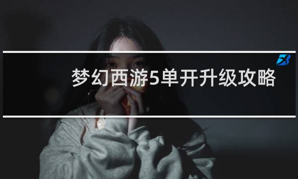 梦幻西游5单开升级攻略