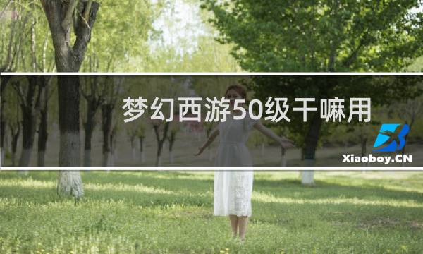 梦幻西游50级干嘛用