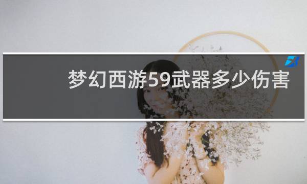梦幻西游59武器多少伤害
