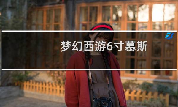 梦幻西游6寸慕斯