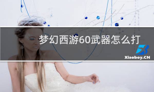 梦幻西游60武器怎么打