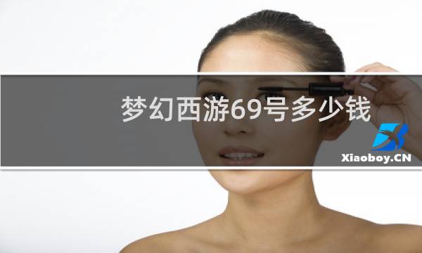 梦幻西游69号多少钱