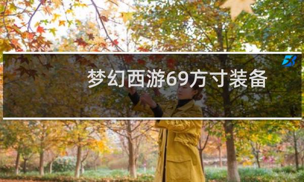 梦幻西游69方寸装备