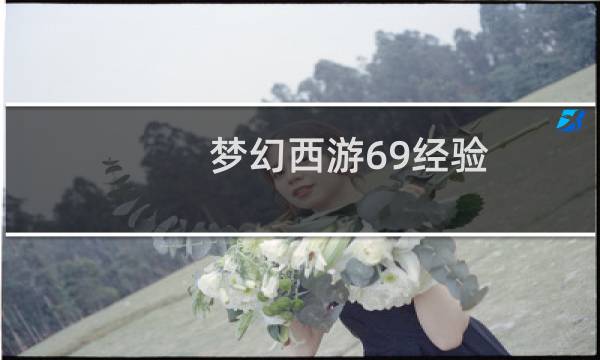 梦幻西游69经验