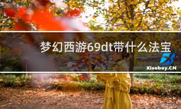 梦幻西游69dt带什么法宝
