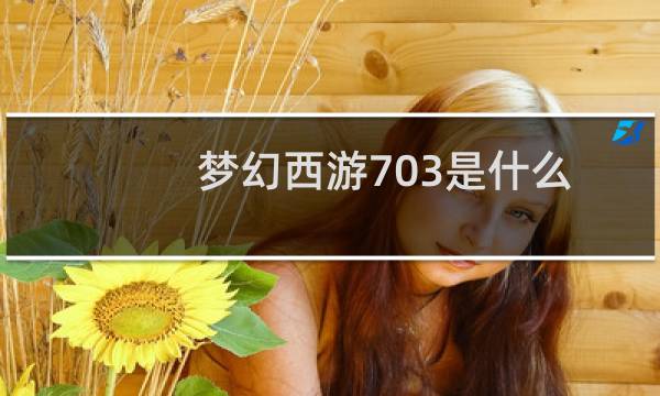 梦幻西游703是什么