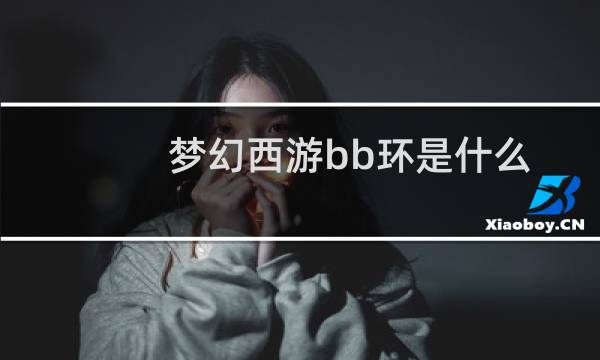 梦幻西游bb环是什么