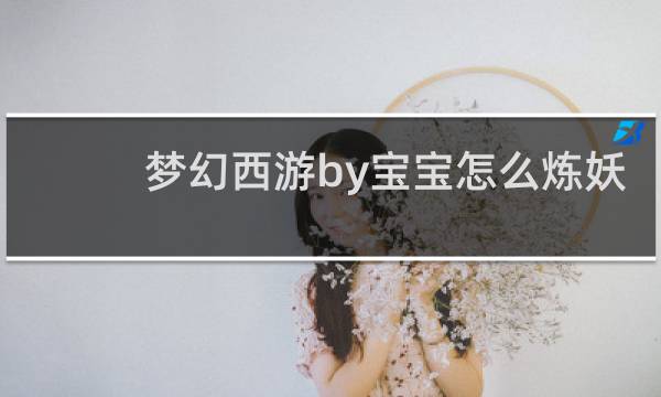 梦幻西游by宝宝怎么炼妖