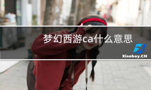 梦幻西游ca什么意思