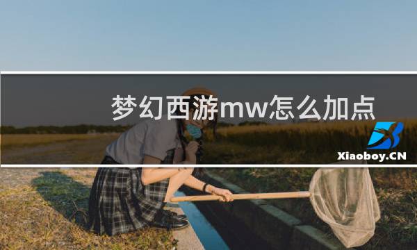 梦幻西游mw怎么加点