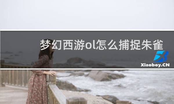 梦幻西游ol怎么捕捉朱雀