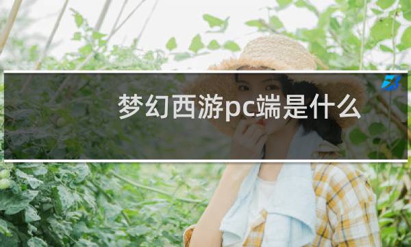 梦幻西游pc端是什么