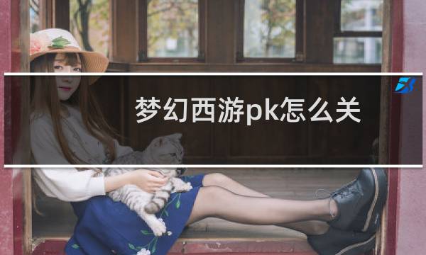 梦幻西游pk怎么关