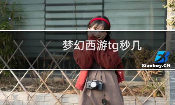 梦幻西游tg秒几