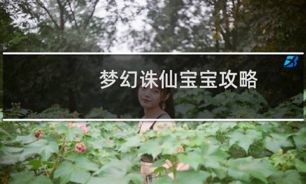 梦幻诛仙宝宝攻略