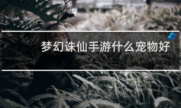 梦幻诛仙手游什么宠物好