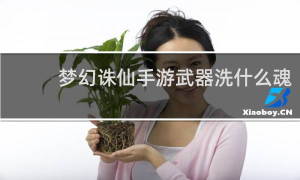 梦幻诛仙手游武器洗什么魂