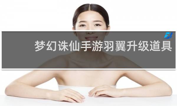 梦幻诛仙手游羽翼升级道具