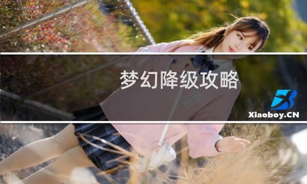 梦幻降级攻略