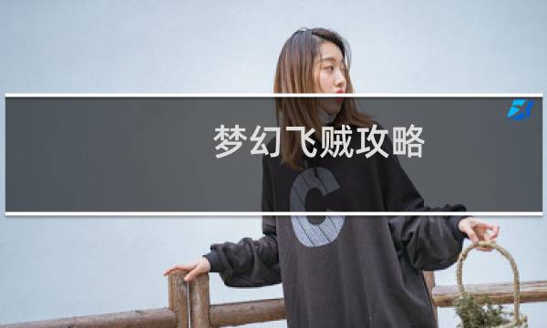 梦幻飞贼攻略