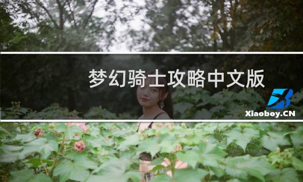 梦幻骑士攻略中文版