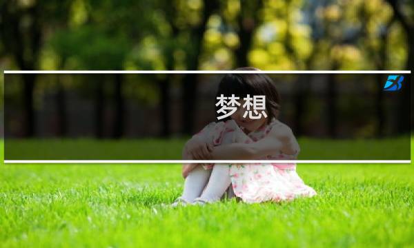 梦想 日记攻略