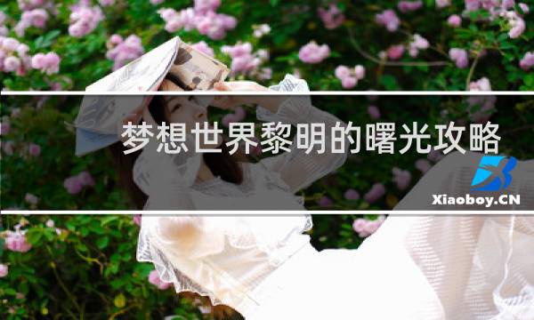 梦想世界黎明的曙光攻略