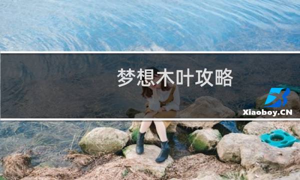 梦想木叶攻略