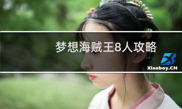 梦想海贼王8人攻略