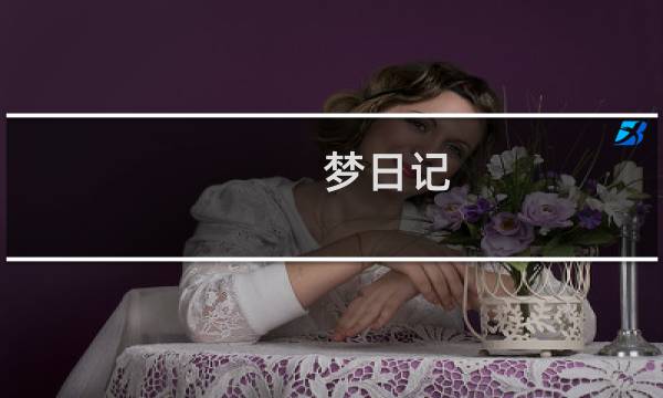 梦日记 重置 攻略