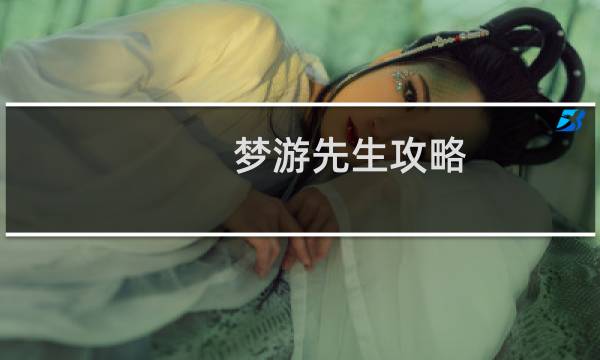 梦游先生攻略 5