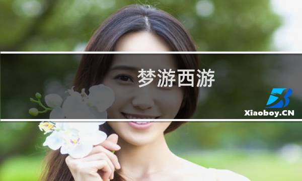 梦游西游 攻略