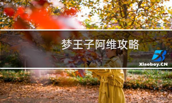 梦王子阿维攻略