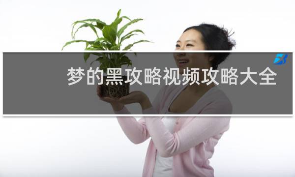 梦的黑攻略视频攻略大全