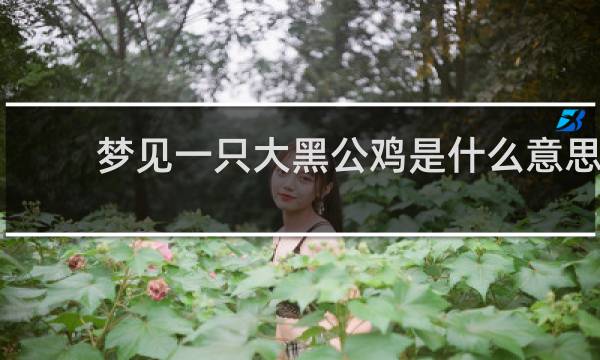 梦见一只大黑公鸡是什么意思