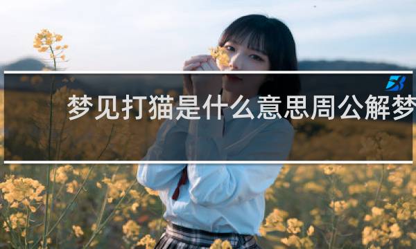 梦见打猫是什么意思周公解梦