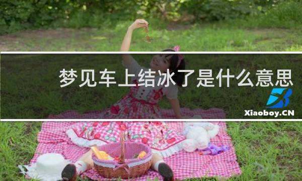 梦见车上结冰了是什么意思
