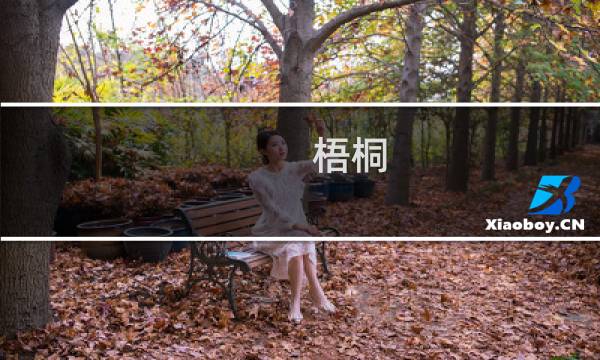 梧桐 方舟生存进化