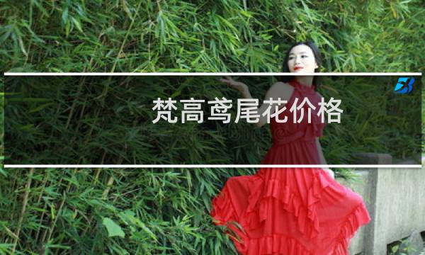 梵高鸢尾花价格