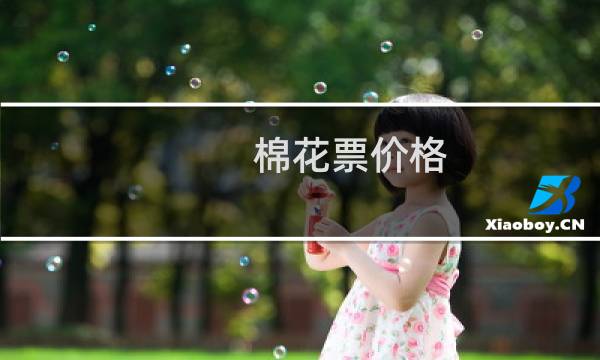棉花票价格