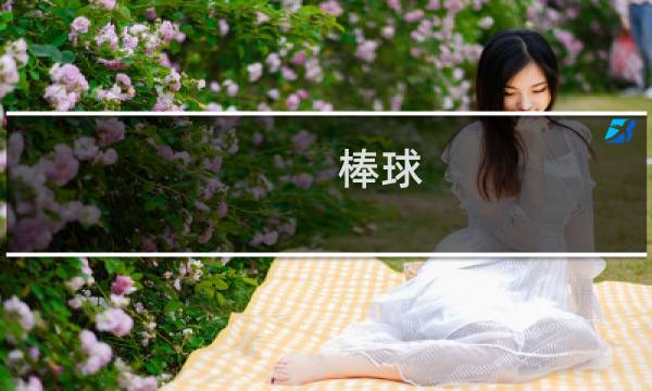 棒球 攻略