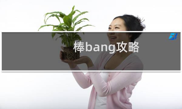棒bang攻略